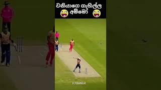 වනියාගෙ ගැහිල්ල warm up match sl vs zim / wanidu batting#waniduhasaranga #srilankacricket #shorts