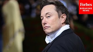 Tesla Stock Loses $575 Billion As 'Investor Patience Wears Thin' With Musk's Twitter ‘Circus Show’