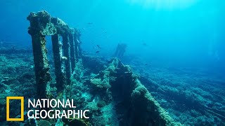 Морские глубины вместе с National Geographic Документальный фильм  National Geographic 2021 FULL HD