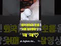 쉬어가는영상♡