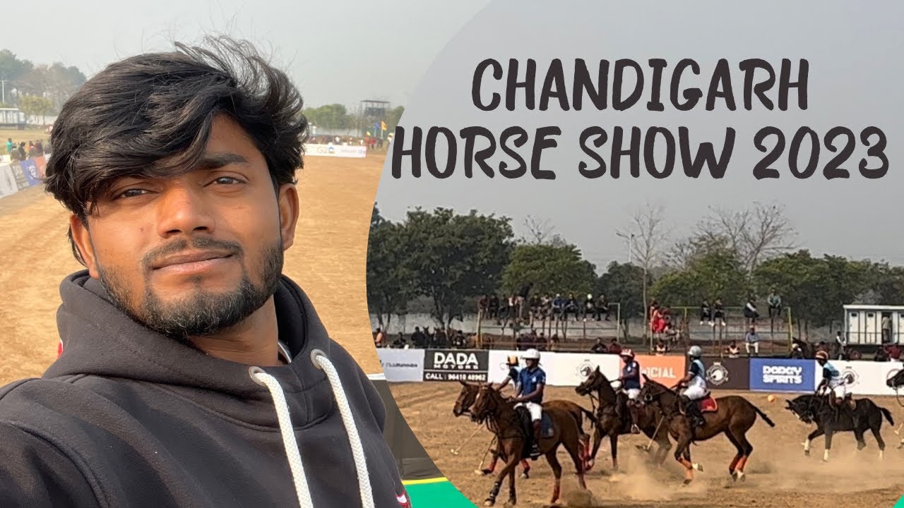 Chandigarh Horse Show 2023 | Polo Tournament 2023 | CHS | Horse Show ...