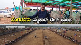 ಕಾರ್ ರೇಸಲ್ಲ ಹಳ್ಳಿಕಾರ್ ರೇಸ್ National Level Bangalore Bull Race Varthur Santhosh 2022 | Kannada Vlogs