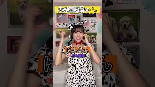 【犬の豆知識🐶🐾】犬に与えると健康に良い食材！！#shorts ＃犬の豆知識#犬#tiktok