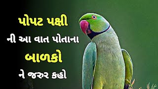 પોપટ પક્ષીની આ વાત પોતાના બાળકો ને જરૂર કહો | આ બે વાતો થી તમારા ઘર માં સુખ અને સમૃદ્ધિ આવશે