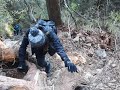 亞馬遜高山接駁 非假日自組 西巒大山