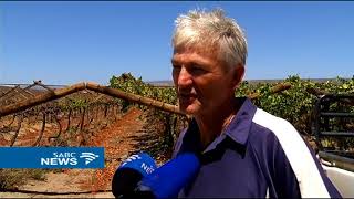 Farmers worried as Clanwilliam Dam Project stalls