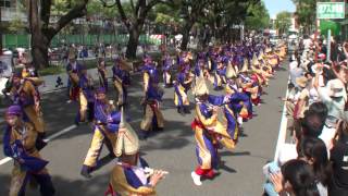 十人十彩　～2014高知よさこい祭り・本祭２日目(追手筋本部競演場(南))