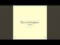 Echo Dream Fragments