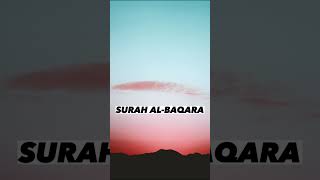 SURAH AL-BAQARA |Ayat 61| Recitation by Mishary Rashid Alafasy | Islam The Heavenly Path