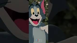 Tom and Jerry 🥰❣️❣️🥰🥰🥰💕💕💕 #tom #jerry #tomandjerry  #best #status