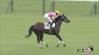 2歳新馬　芝1400m (右 A)　バンドシェル　牡2　56.0　菅原明良　2023.10.9　　出走馬：サリュエ、ラヴァンダ、コスモララバイ、ウッドバイン、ペプチドヒナタ、グロリアラウス他