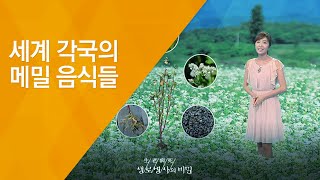 세계 각국의 메밀 음식들 - (20120811_423회 방송)_메밀의 힘