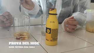 Com detectar midó en aliments?