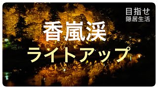 香嵐渓　もみじ祭　ライトアップ