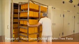 Dry pasta production line | Gluten Free Pasta | Sarp industrial pasta machines