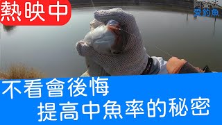 【阿賢爸】愛釣魚 Ep.52   不看會後悔 提高烏魚中魚率的秘密   (珠鉤釣法阿賢爸大咬釣組) [半字幕]