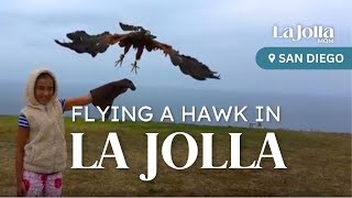 Fly a Hawk in La Jolla: A Thrilling Experience with La Jolla Mom