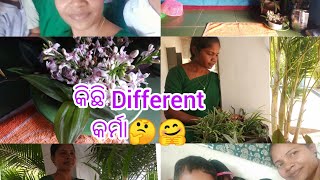 କିଛି Different ହି କର୍ମା 🤔😊😊🌱🌱