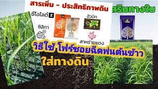 4soil โฟร์ซอย สารเพิ่มประสิทธิภาพดิน สนใจ 063-5164500