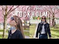 Beautiful cherry blossom in Stockholm | Life in Stockholm, Sweden