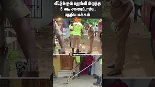 Kumbakonam | Shocking Video | Snake | Sun News