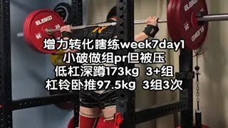 w7d1，新做组pr，终于快200了？低杠深蹲173kg 3+组，杠铃卧推97.5kg 3组3次，海豹划船、窄距垫砖推