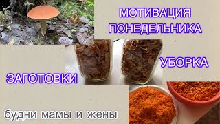 Заготовки// Уборка// Легкая мотивация// Спокойно начинаем рабочую неделю//Будни мамы//