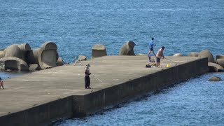 上越 西ケ窪浜(Niigata)人気の釣りスポット