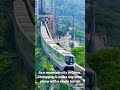 Chongqing's light rails are truly remarkable.