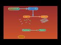 Fibrin Degradation animation video