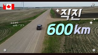 이틀동안 1,300km 운전해서 간 캐나다 중부 | 로드트립 | 또 락칩 맞음