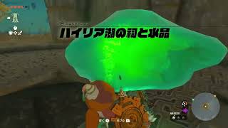 【ティアキン】エンオマの祠　攻略【ゼルダの伝説】