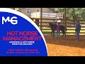 Handling A Hot Horse From The Ground | The Horse Guru - Michael Gascon