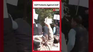 Delhi BJP Protests Against AAP Over Ambedkar Statue Vandalism