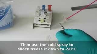 DIY method to shock freeze bacteria with cold spray