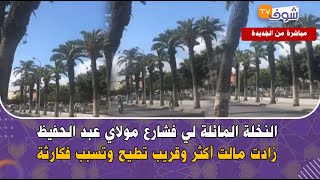 .مباشرة من الجديدة:  النخلة المائلة لي فشارع مولاي عبد الحفيظ زادت مالت أكثر وقريب تطيح وتسبب فكارثة