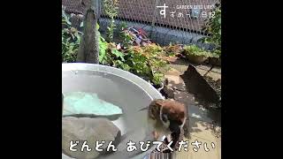 どんどん浴びちゃって #shorts