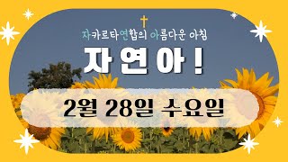 자연아! 2월 28일 (수)