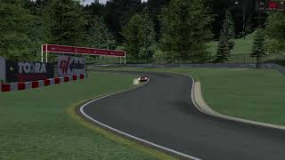 rFactor Semi Fictional Tracks: Magna Steyr