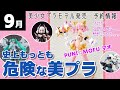 ロリコン紳士を一網打尽！puni☆mofu発売！ 2024年9月 美少女プラモ発売・予約最新情報