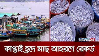 রাঙামাটির কাপ্তাই হ্রদে মাছের বাম্পার আহরণ | Rangamati Fish | Kaptai lake | News24