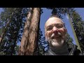 sequoia national park thur may 20 sun may 23 2021 4 min 46 sec