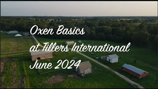 Oxen Basics June 2024 @TillersInternational