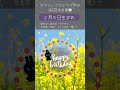 アラフィフうふうさぎ366日花言葉🌻自分へ、大切な人へのプレゼント選びの参考に🌷 花言葉 誕生花 誕生花＃今日のメッセージ 今日の運勢