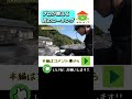 【光る職人技】プロが教える瓦屋根のコーキング shorts