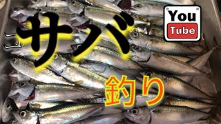 誰でも簡単！ワームで小サバ釣り‼️