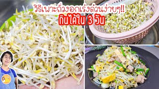 วิธีเพาะถั่วงอกคอนโด ในตระกร้าง่ายๆ อวบ ไม่เน่า กินได้ใน 3วัน|How to grow bean sprouts| ครัวแม่ผึ้ง