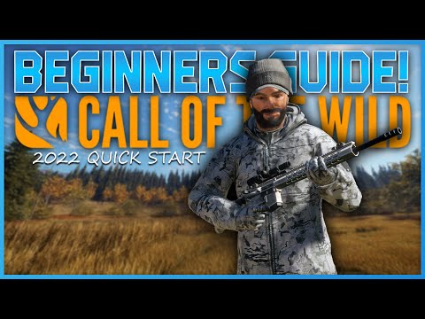 Ultimate Beginner's Guide 2023! theHunter Call Of The Wild