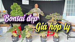 SH.7515. Báo giá lô bonsai thành phẩm rất hợp lý bao síp toàn quốc. Đth liên hệ 0931.239.339.