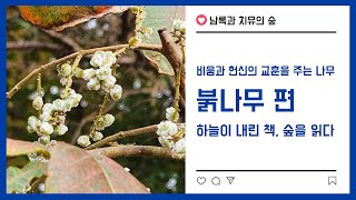 하늘이 내린 책, 숲을 읽다(비움과 헌신의 교훈을 주는 나무 - 붉나무 편)